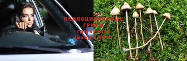 мдпв Бронницы