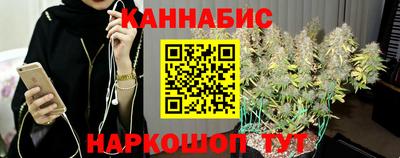 прущие грибы Дмитров