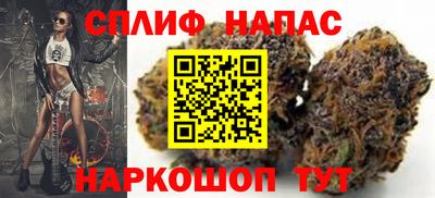прущие грибы Дмитров