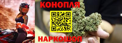 прущие грибы Дмитров